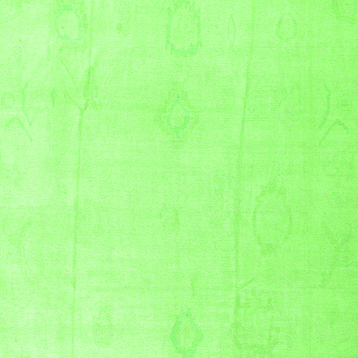 Oriental Green Traditional Rug, abs4329grn