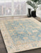 Abstract Sage Green Oriental Rug in Family Room, abs4333