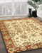 Machine Washable Abstract Red Rug in a Family Room, wshabs433