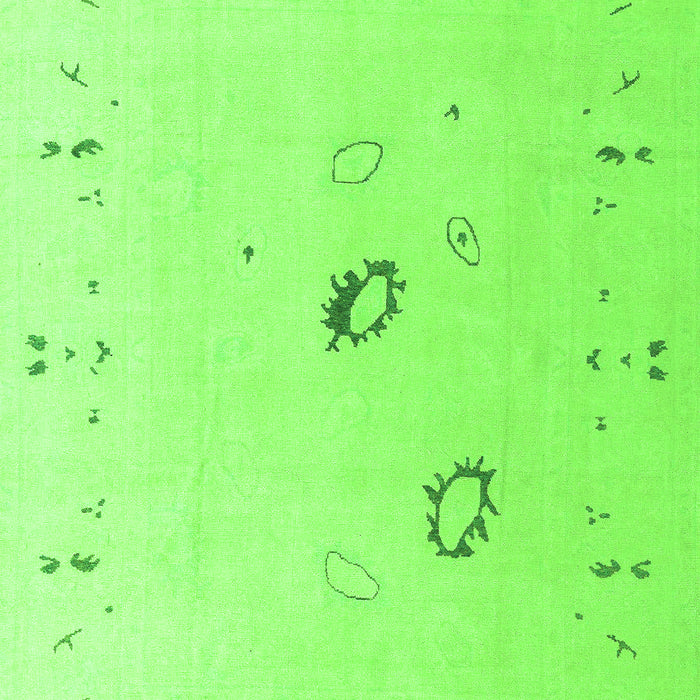 Oriental Green Traditional Rug, abs4341grn