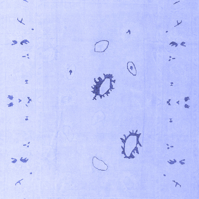 Oriental Blue Traditional Rug, abs4341blu