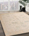 Abstract Deep Peach Orange Oriental Rug in Family Room, abs4348