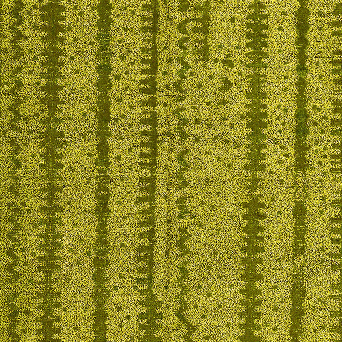 Oriental Yellow Modern Rug, abs4356yw