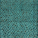 Square Abstract Turquoise Modern Rug, abs4363turq