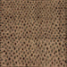 Square Machine Washable Abstract Brown Modern Rug, wshabs4363brn