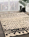 Machine Washable Abstract Brown Rug in a Family Room, wshabs4387