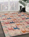 Machine Washable Abstract Rust Pink Rug in a Family Room, wshabs4415