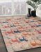 Abstract Rust Pink Modern Rug in Family Room, abs4415