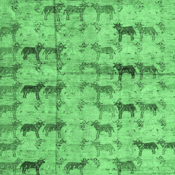 Square Abstract Emerald Green Modern Rug, abs4415emgrn