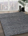 Machine Washable Abstract Gray Rug in a Family Room, wshabs4418