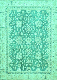 Oriental Turquoise Traditional Rug, abs441turq