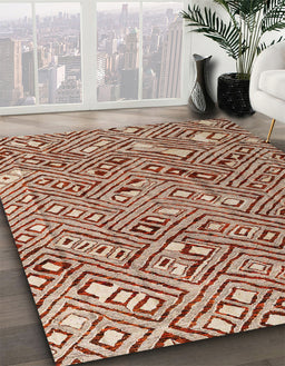 Machine Washable Abstract Fire Brick Red Rug in a Family Room, wshabs4420