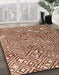 Machine Washable Abstract Fire Brick Red Rug in a Family Room, wshabs4420