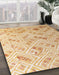 Machine Washable Abstract Orange Rug in a Family Room, wshabs4423