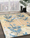 Machine Washable Abstract Vanilla Gold Rug in a Family Room, wshabs4441