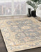 Abstract Camel Brown Modern Rug in Family Room, abs4443