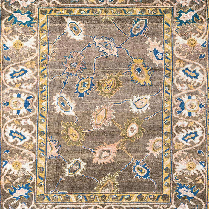 Abstract Brown Oriental Rug, abs4444