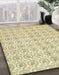 Machine Washable Abstract Brass Green Rug in a Family Room, wshabs444