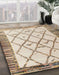 Abstract Dark Almond Brown Solid Rug in Family Room, abs4464