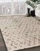 Machine Washable Abstract Camel Brown Rug in a Family Room, wshabs4478