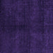 Square Machine Washable Abstract Purple Modern Area Rugs, wshabs4511pur