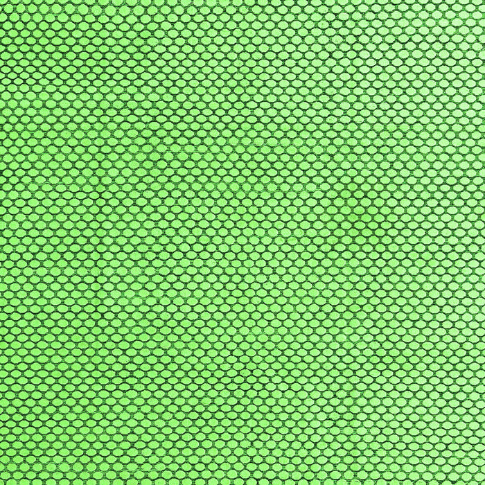 Square Machine Washable Solid Green Modern Area Rugs, wshabs4529grn