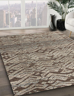 Machine Washable Abstract Coffee Brown Rug in a Family Room, wshabs4544