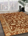 Machine Washable Abstract Orange Rug in a Family Room, wshabs454