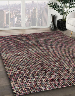 Machine Washable Abstract Rosy Pink Rug in a Family Room, wshabs4566