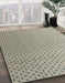 Abstract Khaki Green Solid Rug in Family Room, abs4580