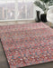 Machine Washable Abstract Pink Daisy Pink Rug in a Family Room, wshabs4589