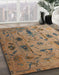 Machine Washable Abstract Brown Sand Brown Rug in a Family Room, wshabs4594