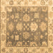 Square Oriental Brown Traditional Rug, abs4597brn