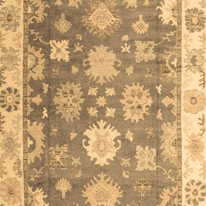 Oriental Brown Traditional Rug, abs4597brn