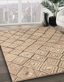 Machine Washable Abstract Brown Rug in a Family Room, wshabs4599