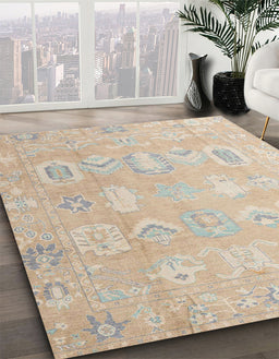 Machine Washable Abstract Brown Sugar Brown Rug in a Family Room, wshabs4603