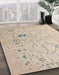 Machine Washable Abstract Pastel Orange Rug in a Family Room, wshabs4604