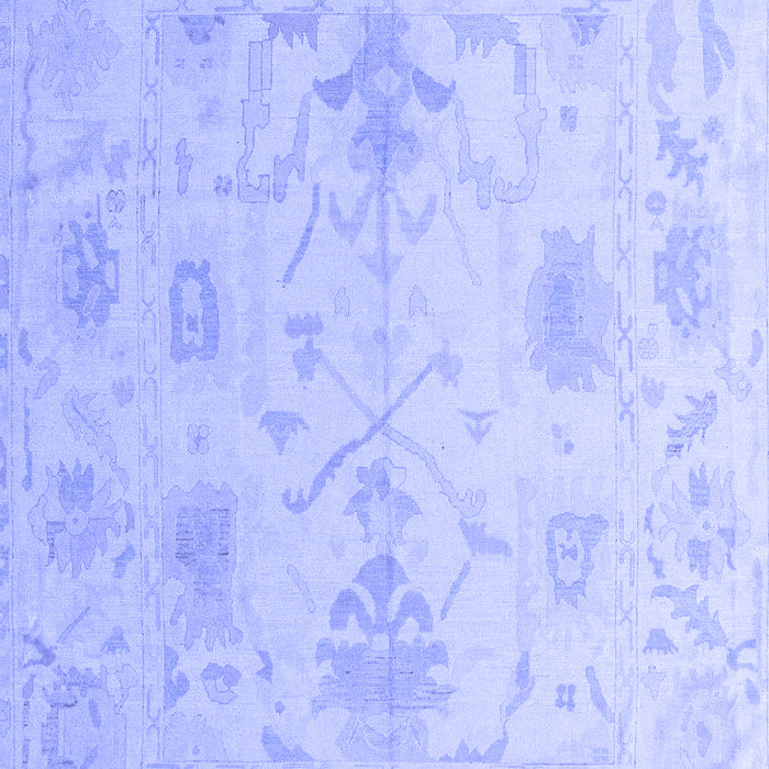 Oriental Blue Traditional Rug, abs4605blu
