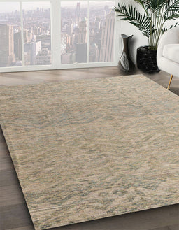 Machine Washable Abstract Dark Almond Brown Rug in a Family Room, wshabs4613