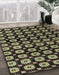 Machine Washable Abstract Brass Green Rug in a Family Room, wshabs4617