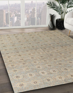 Machine Washable Abstract Tan Brown Rug in a Family Room, wshabs4643