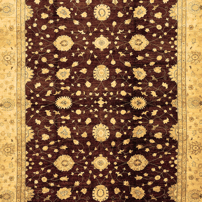 Oriental Brown Traditional Rug, abs466brn