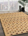 Machine Washable Abstract Chocolate Brown Rug in a Family Room, wshabs4671