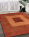 Machine Washable Abstract Red Rug in a Family Room, wshabs4690