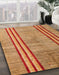 Abstract Orange Modern Rug in Family Room, abs4718