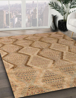 Machine Washable Abstract Light Brown Rug in a Family Room, wshabs4739
