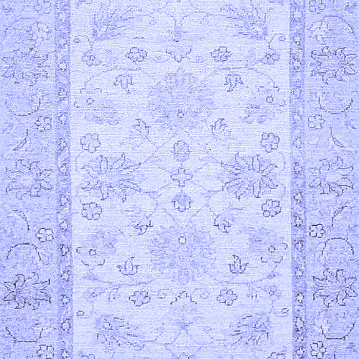 Oriental Blue Traditional Rug, abs473blu