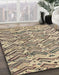 Machine Washable Abstract Brown Rug in a Family Room, wshabs4741