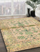 Machine Washable Abstract Brown Gold Rug in a Family Room, wshabs4743