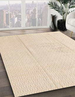 Machine Washable Abstract Navajo White Rug in a Family Room, wshabs4758